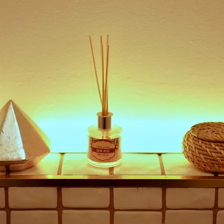 Roma Divine Cinéma Et Jardin Nîmes