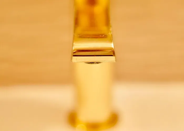 Roma Divine Cinema Et Jardin